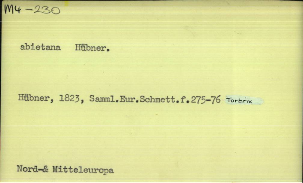 front of card
